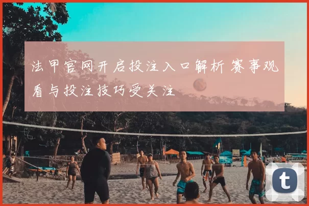 法甲官网开启投注入口解析 赛事观看与投注技巧受关注