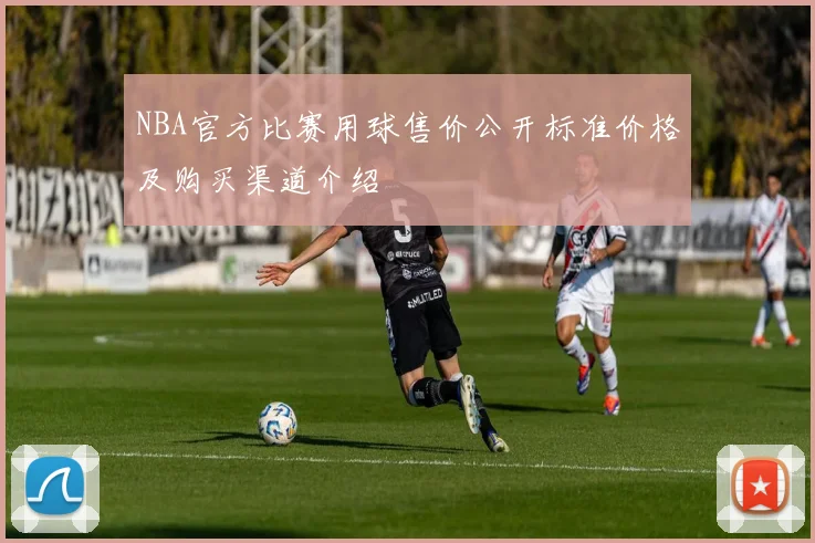 NBA官方比赛用球售价公开标准价格及购买渠道介绍